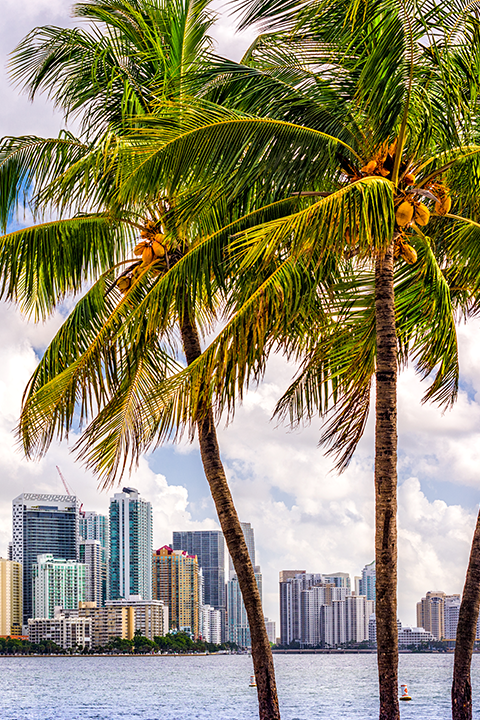 Discover Miami Local Secrets