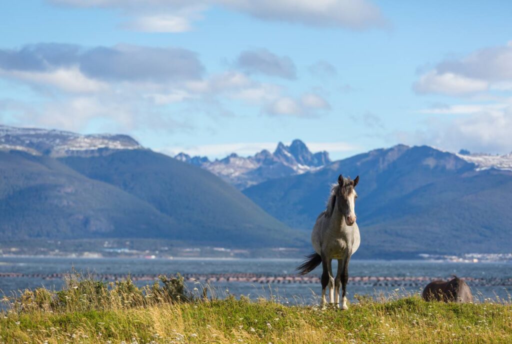 Ushuaia