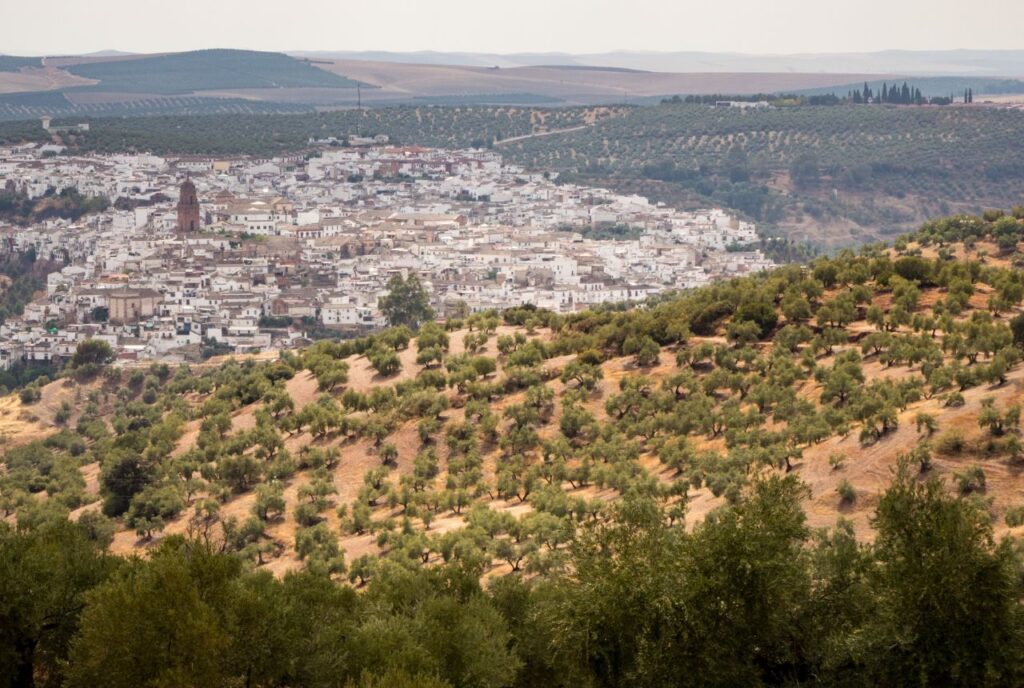 Córdoba