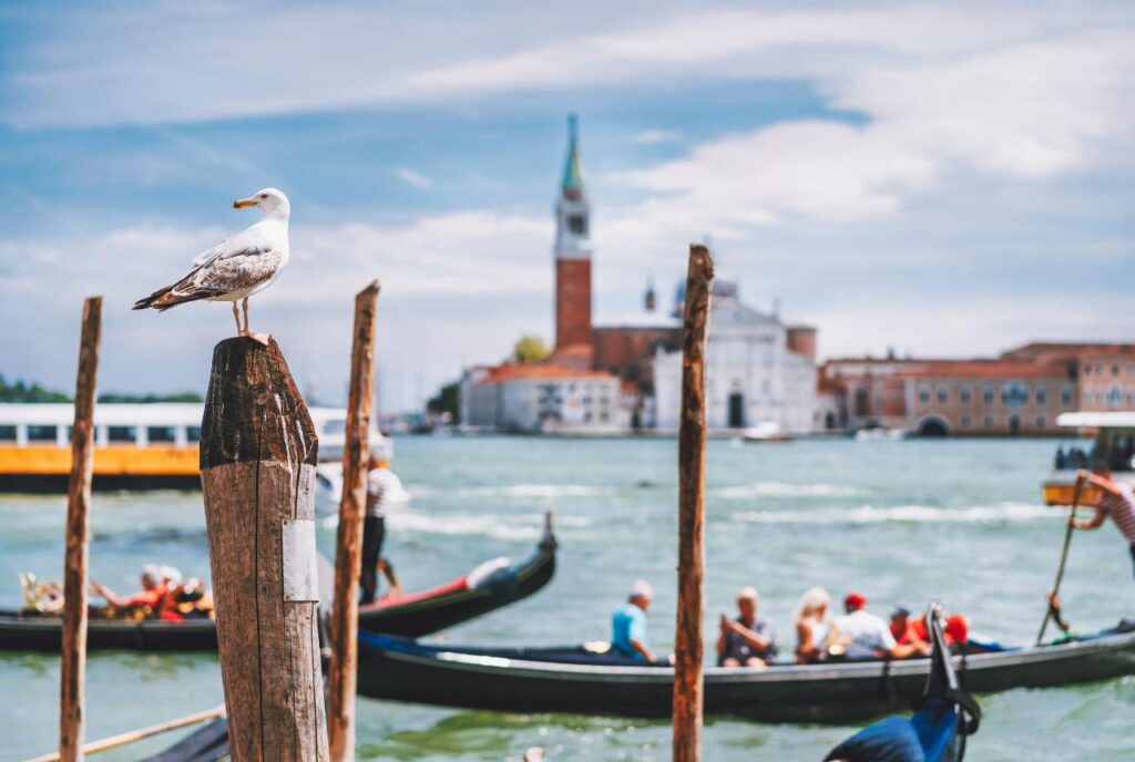 Venice