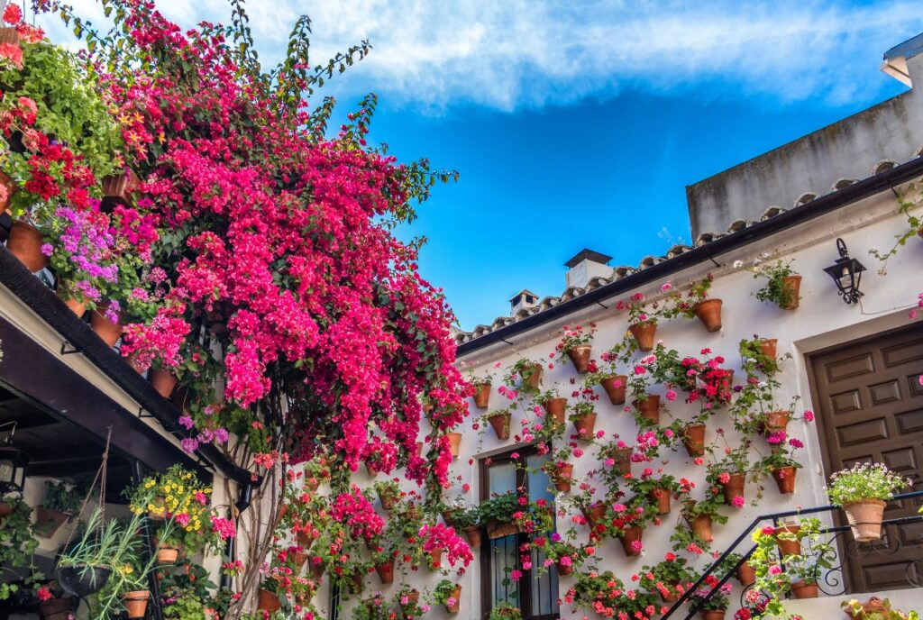 Córdoba
