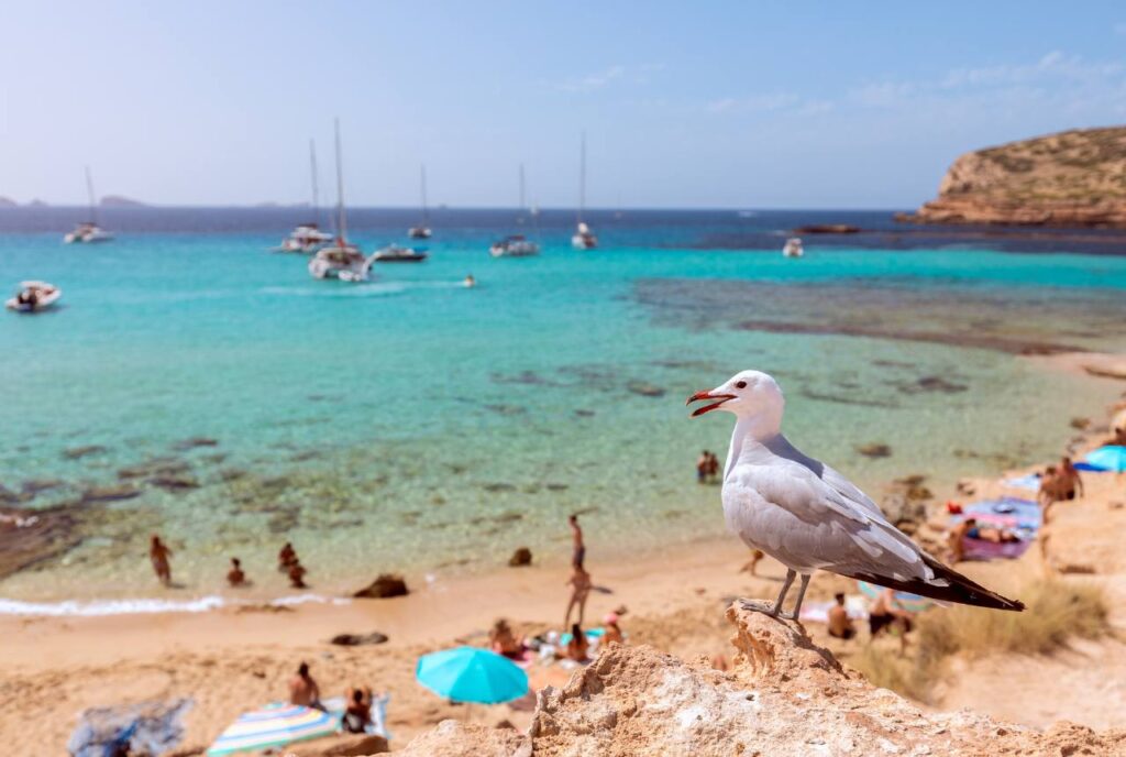 Ibiza