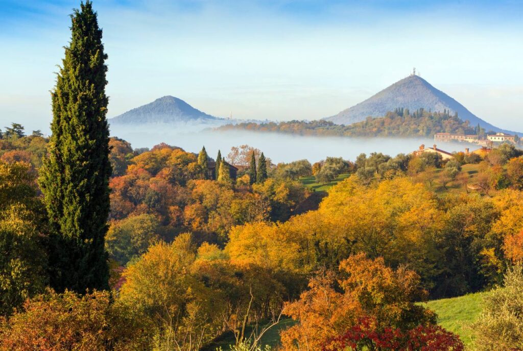 Padua