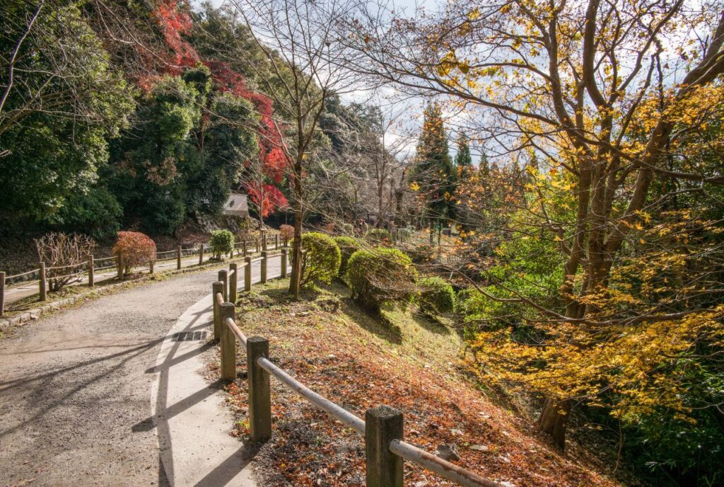 Kyoto