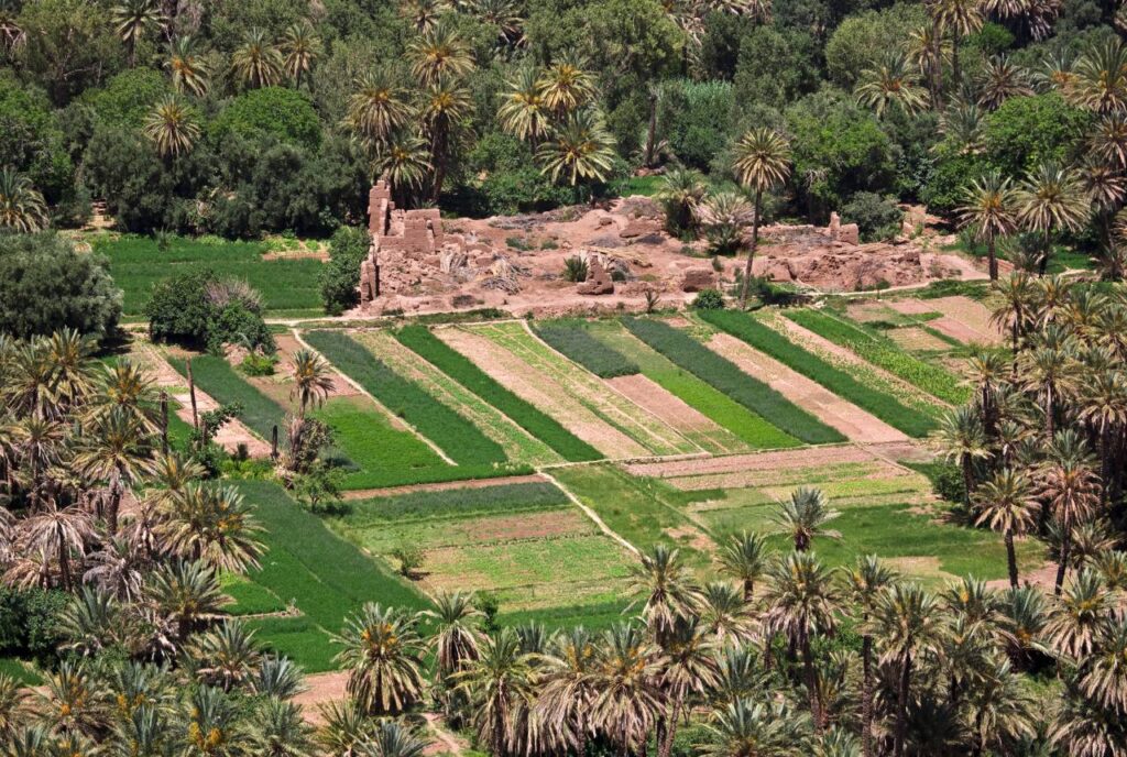 Marrakech