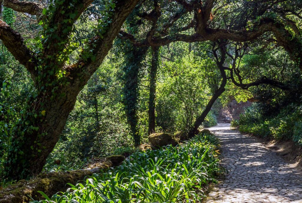 Sintra
