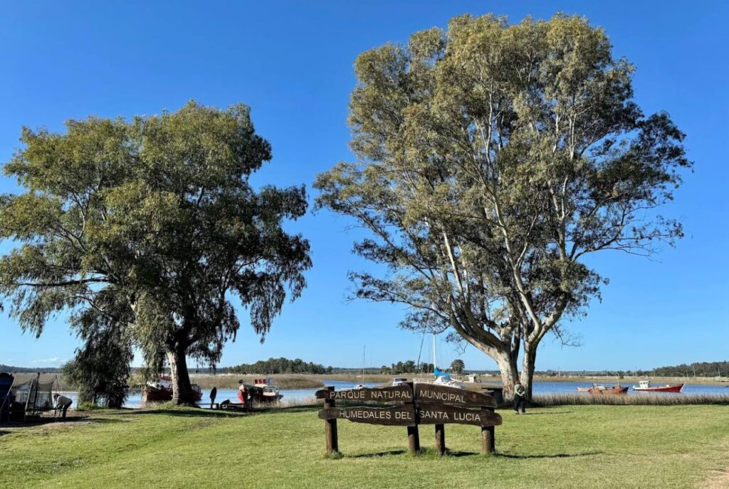 Montevideo