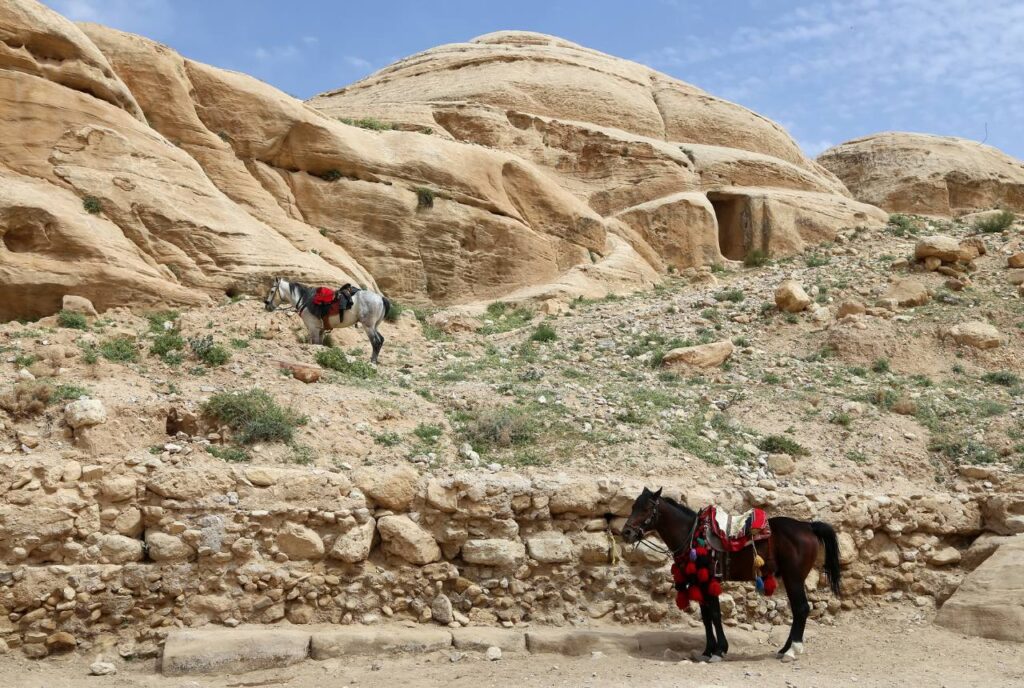 Petra