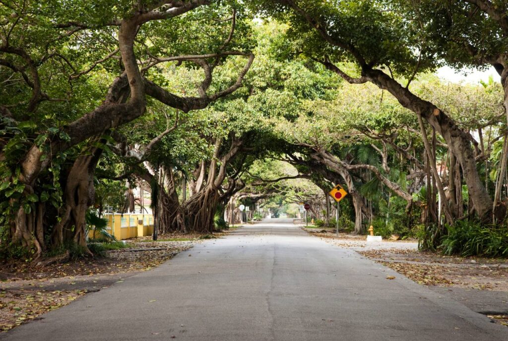 Miami